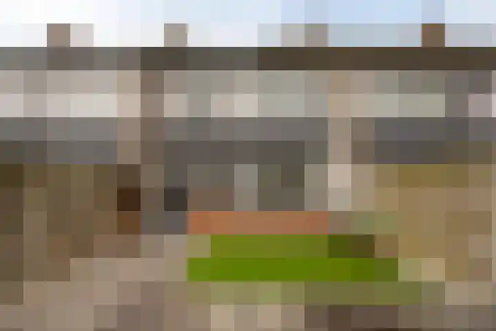 Nolensstraat 4 Ossendrecht thumbnail 4
