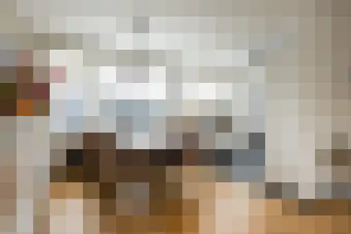 Nolensstraat 4 Ossendrecht thumbnail 8