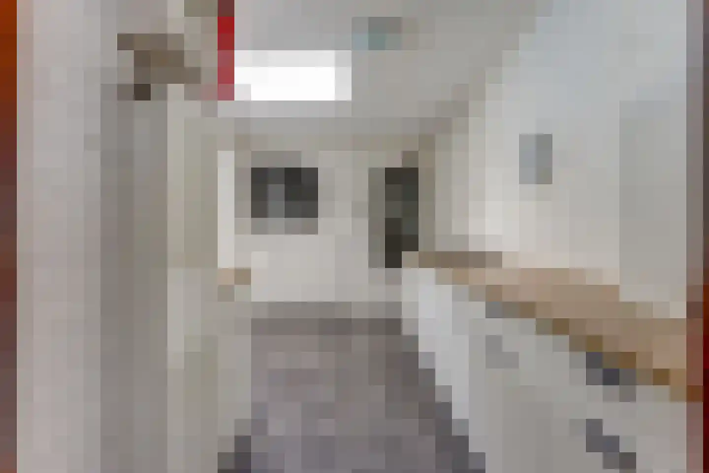 Nolensstraat 5 Naaldwijk thumbnail 15