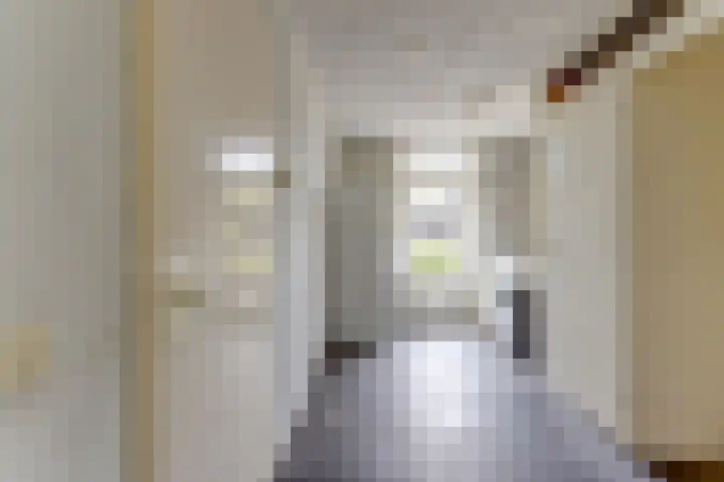 Nolensstraat 5 Naaldwijk thumbnail 21
