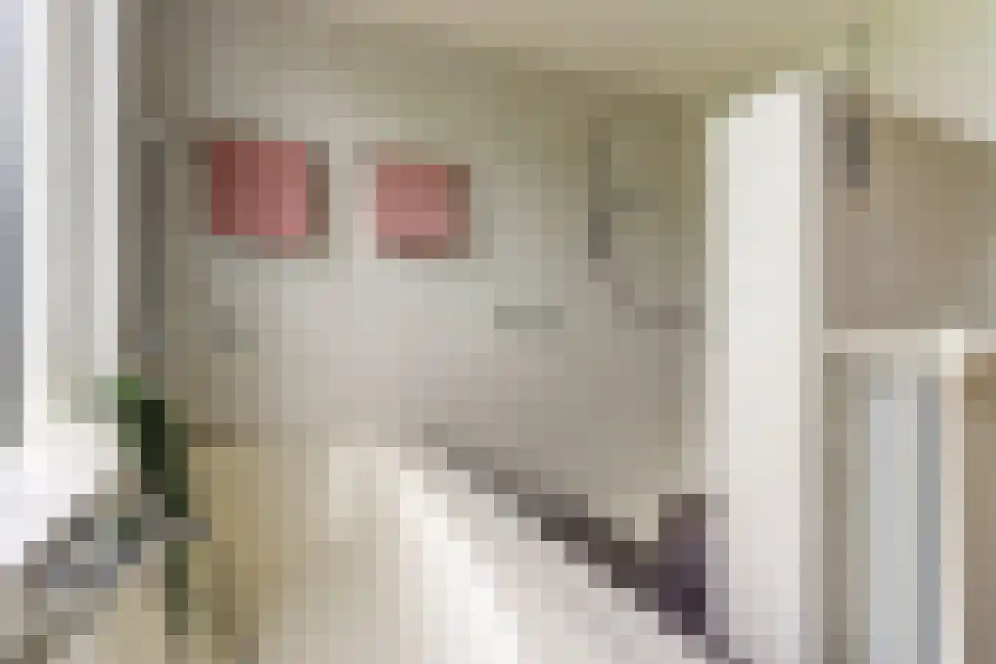 Nolensstraat 5 Naaldwijk thumbnail 24