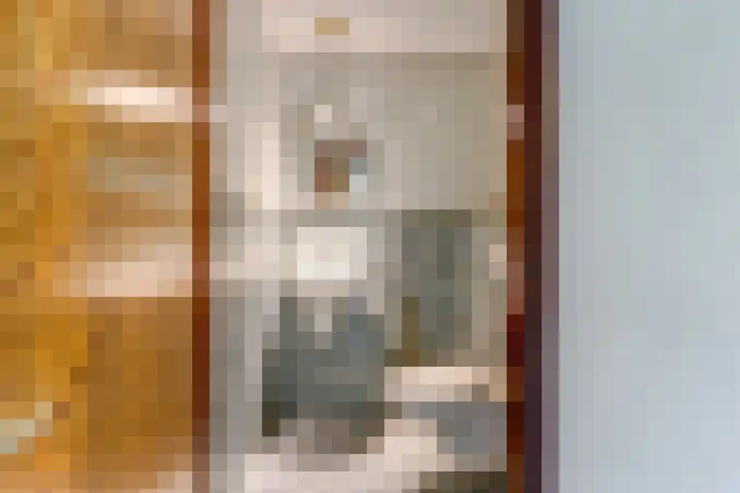 Nolensstraat 5 Naaldwijk thumbnail 25