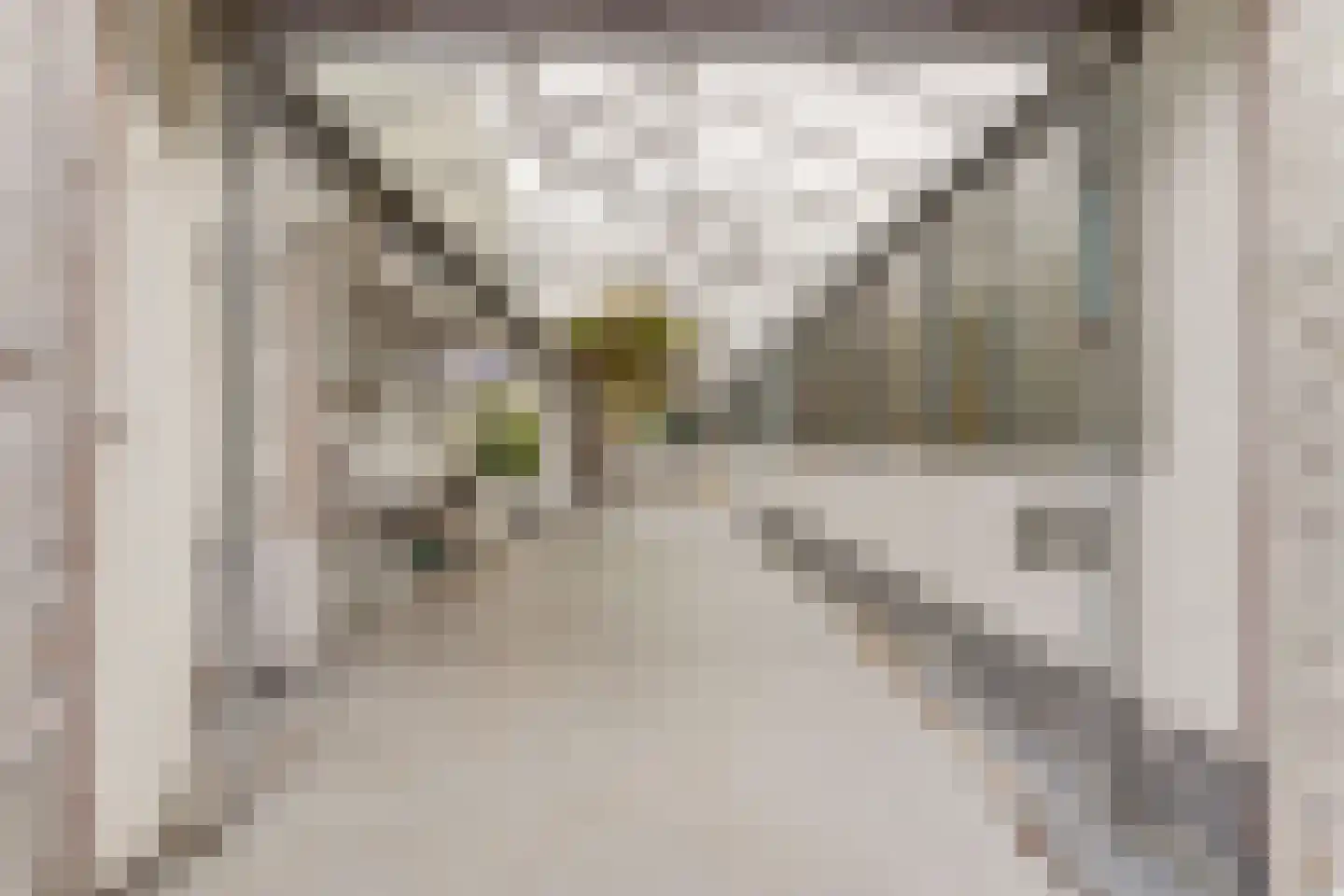 Nolensstraat 5 Naaldwijk thumbnail 36