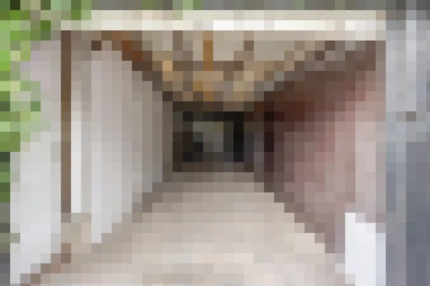 Nolensstraat 5 Naaldwijk thumbnail 38