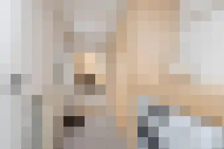Nolensstraat 5 Sneek thumbnail 12