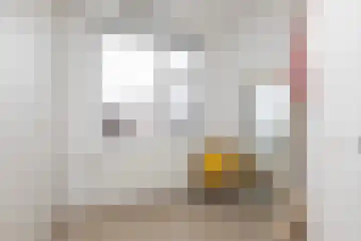 Nolensstraat 5 Sneek thumbnail 24