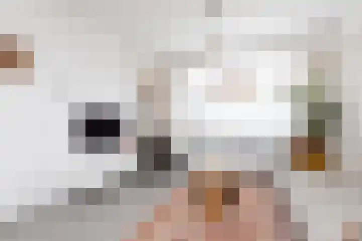 Nolensstraat 5 Sneek thumbnail 4