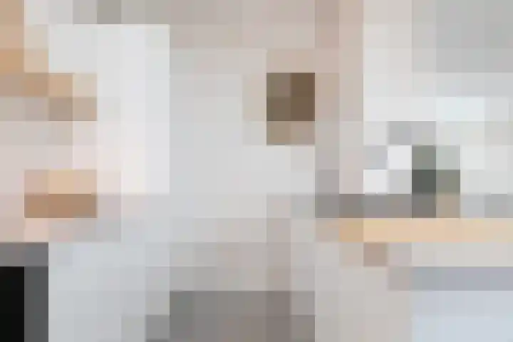 Nolensstraat 5 Sneek thumbnail 9