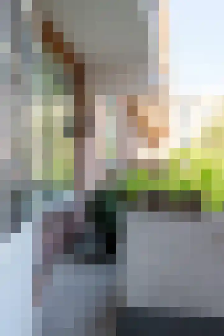 Nolensstraat 53 B Rotterdam thumbnail 37