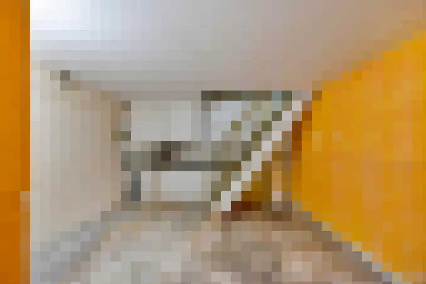 Nolensstraat 6 C Rotterdam thumbnail 28