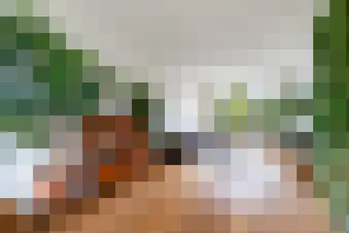 Nolensstraat 65 B in Rotterdam