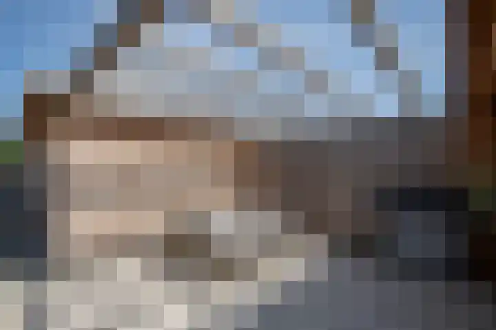 Nolensstraat 7 Wildervank thumbnail 36