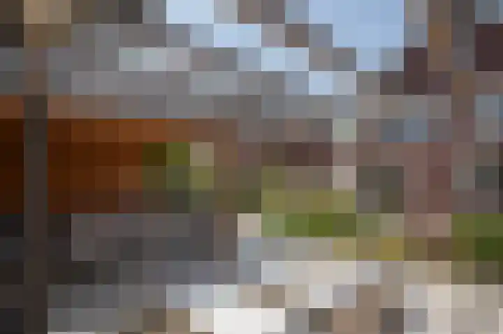 Nolensstraat 7 Wildervank thumbnail 37