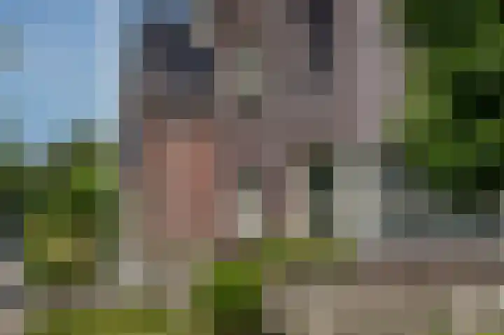 Nolensstraat 7 Wildervank thumbnail 49