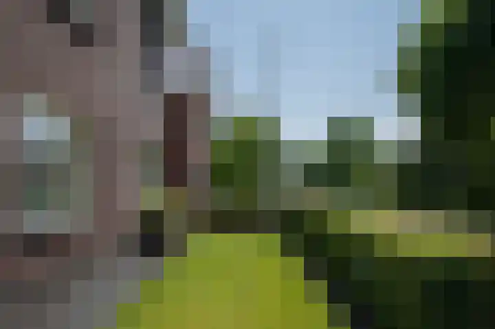 Nolensstraat 7 Wildervank thumbnail 50