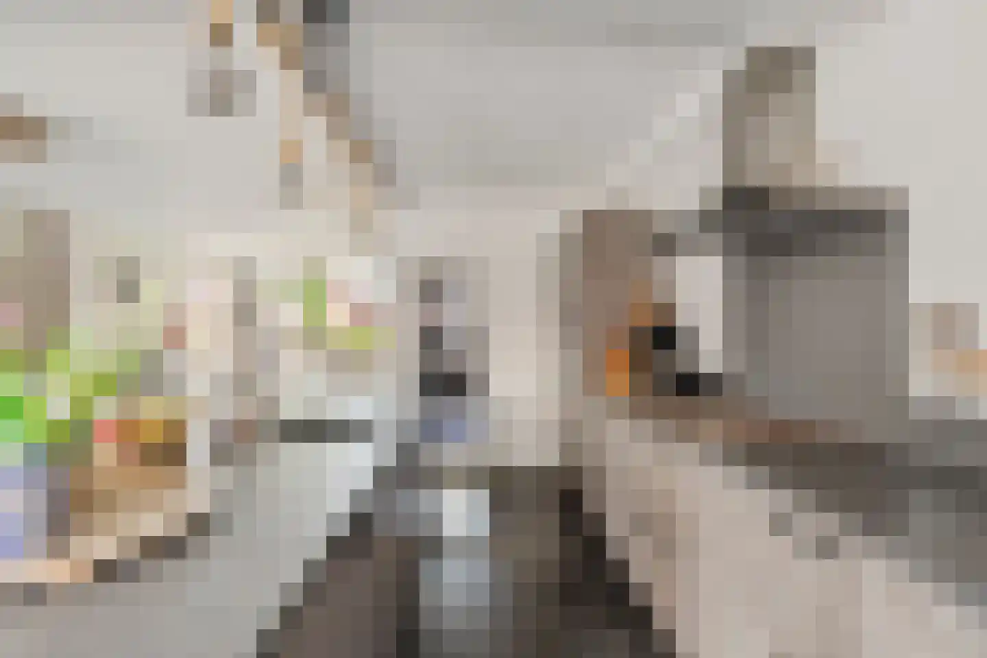 Noletstraat 10 Tuitjenhorn thumbnail 10