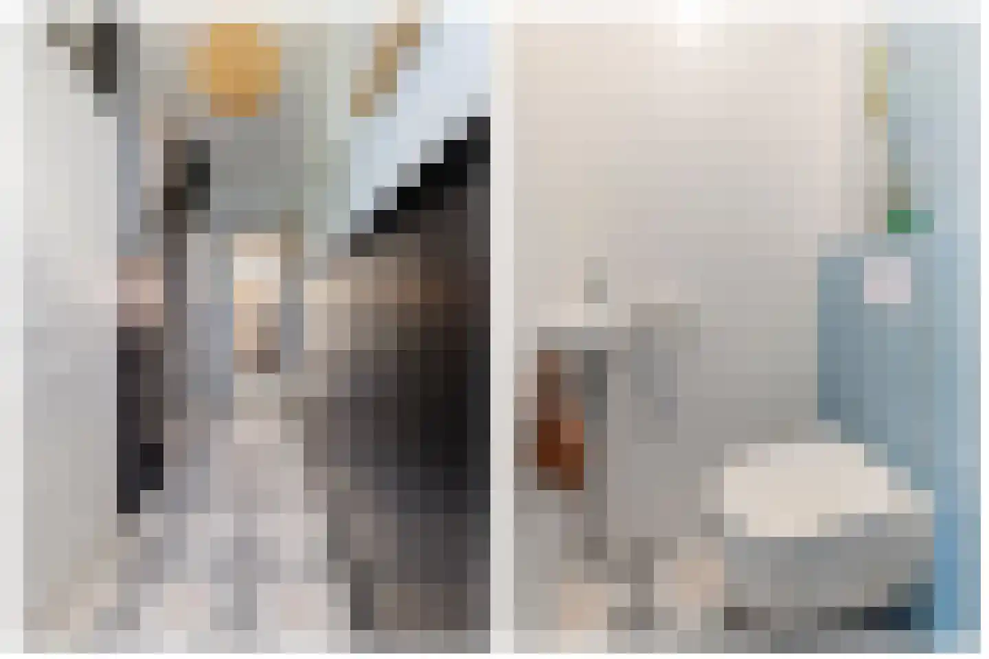 Noletstraat 10 Tuitjenhorn thumbnail 13