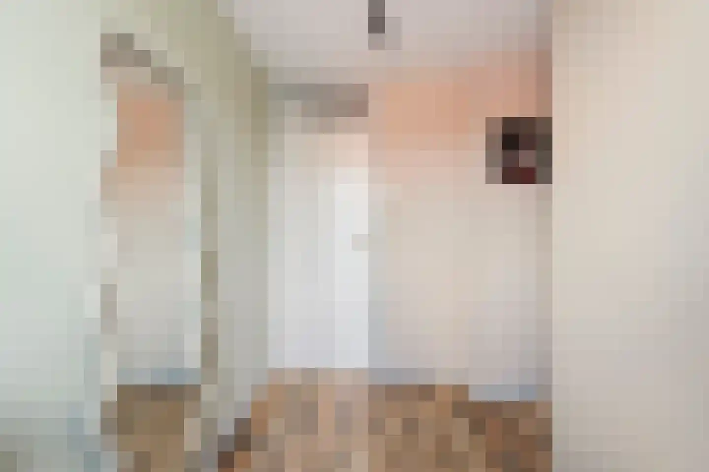 Noletstraat 10 Tuitjenhorn thumbnail 20