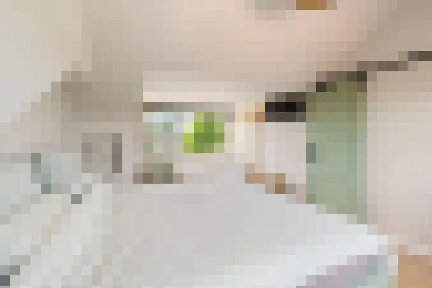 Noletstraat 10 Tuitjenhorn thumbnail 25