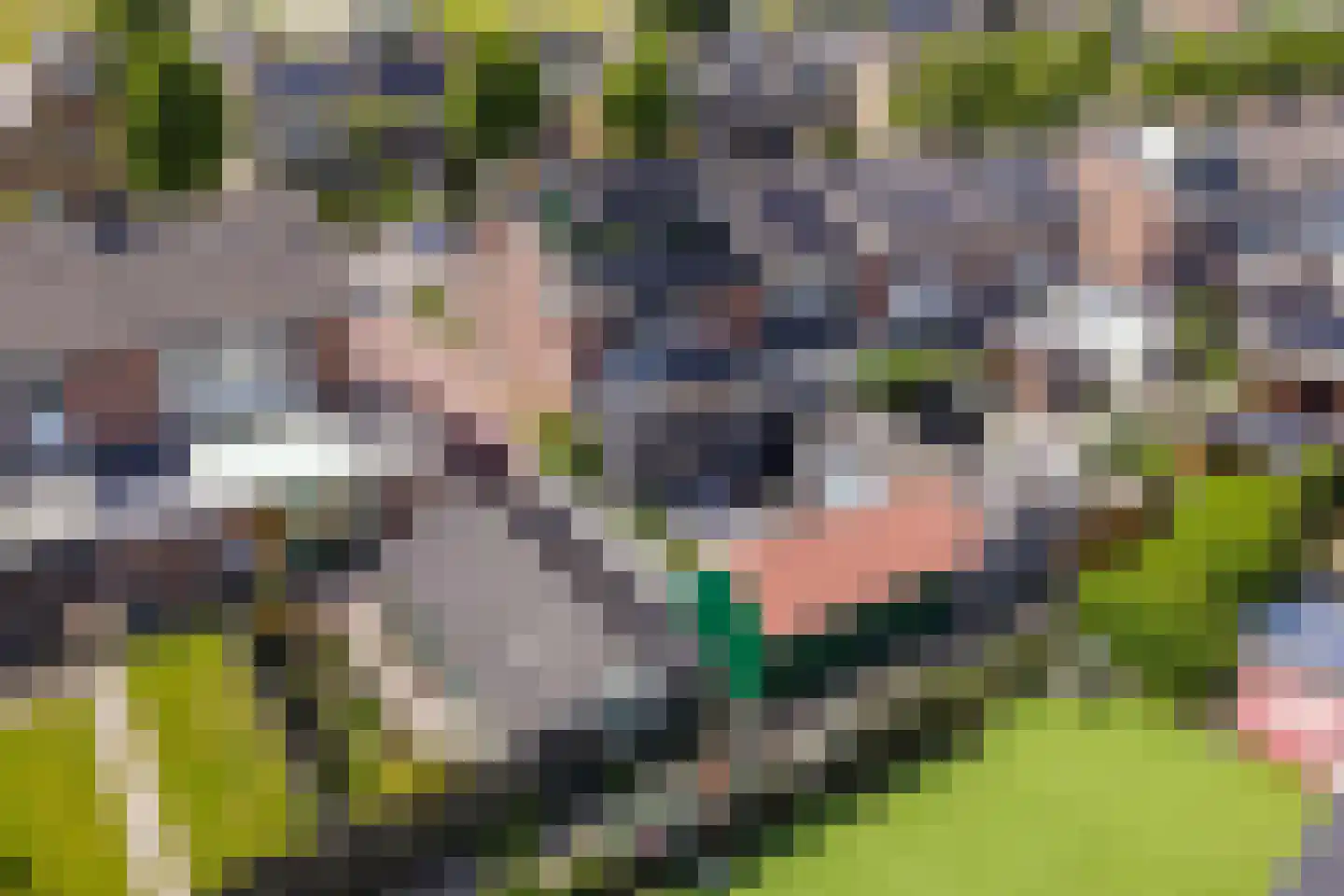 Noletstraat 10 Tuitjenhorn thumbnail 31