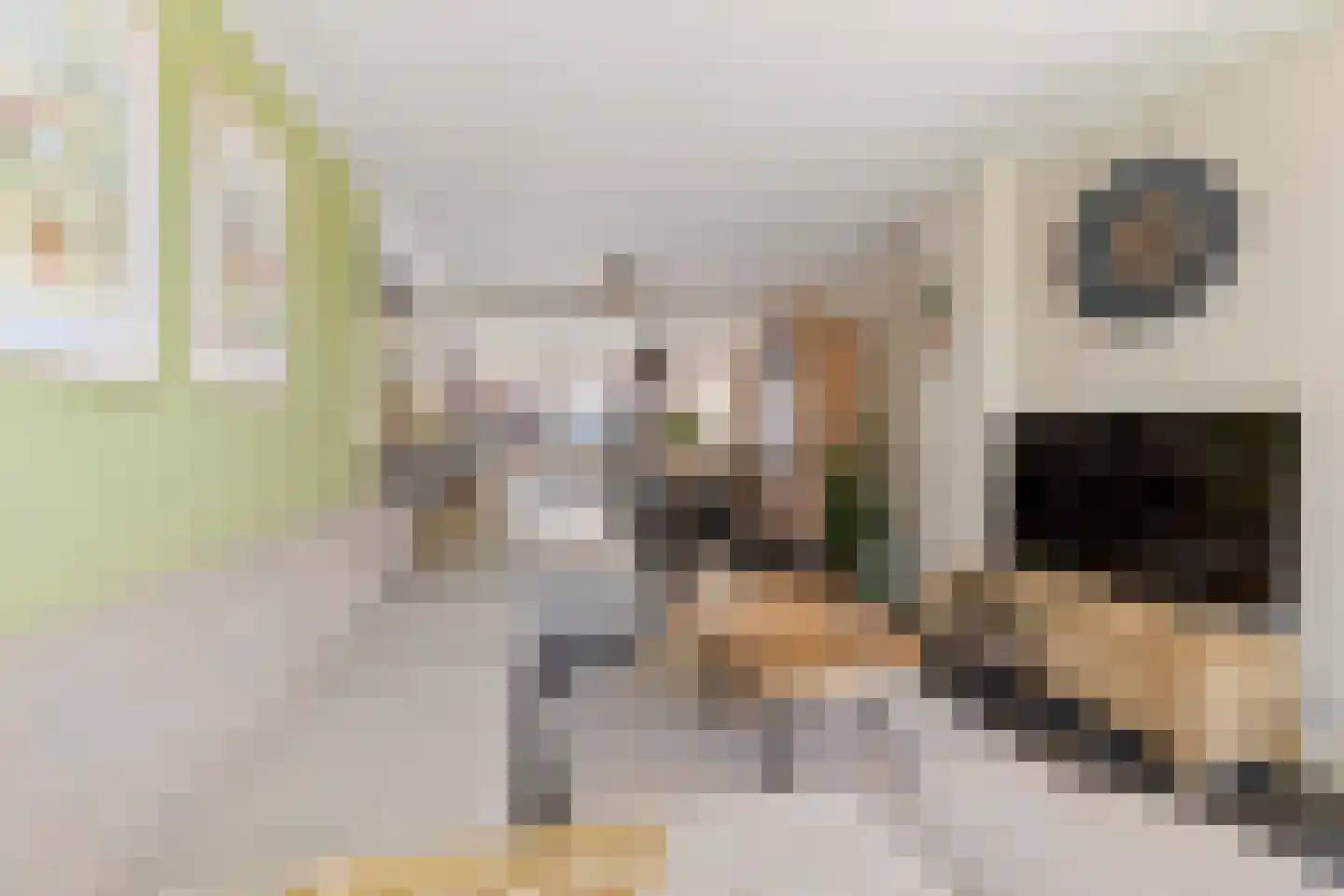 Noletstraat 10 Tuitjenhorn thumbnail 6