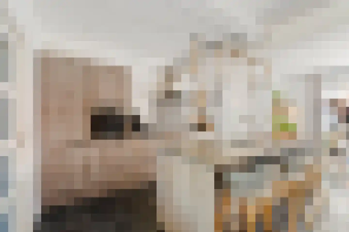 Noletstraat 10 Tuitjenhorn thumbnail 8