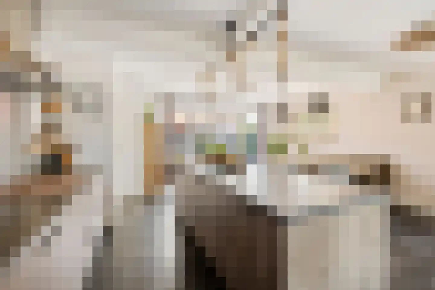 Noletstraat 10 Tuitjenhorn thumbnail 9