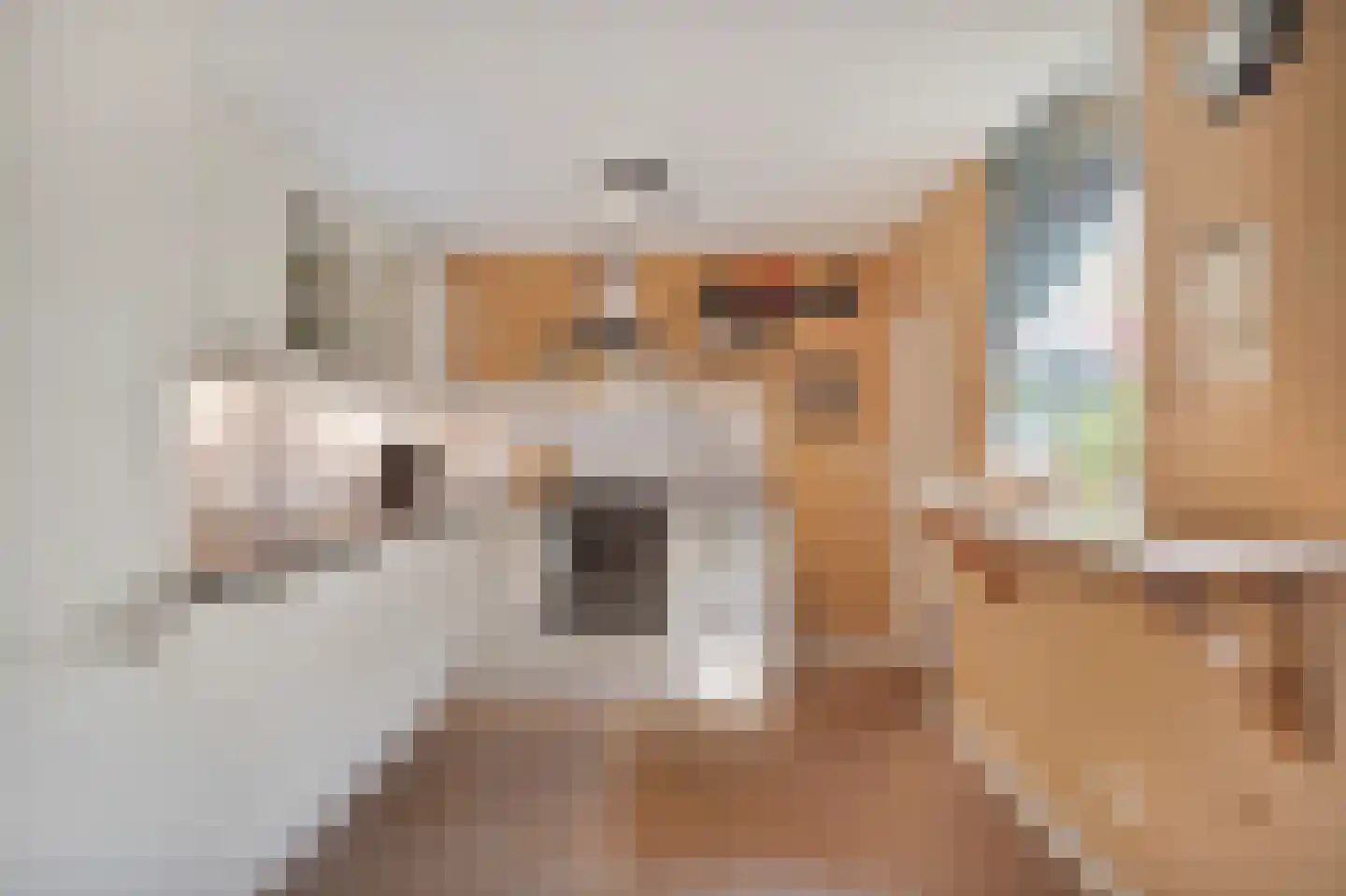 Noletstraat 4 Tuitjenhorn thumbnail 17