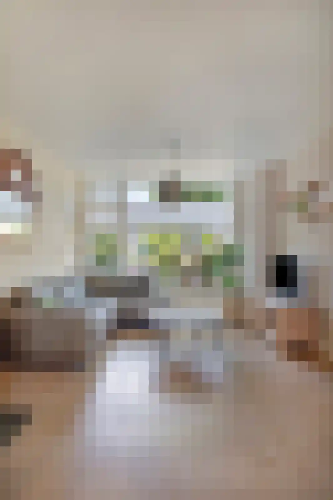Noletstraat 4 Tuitjenhorn thumbnail 23