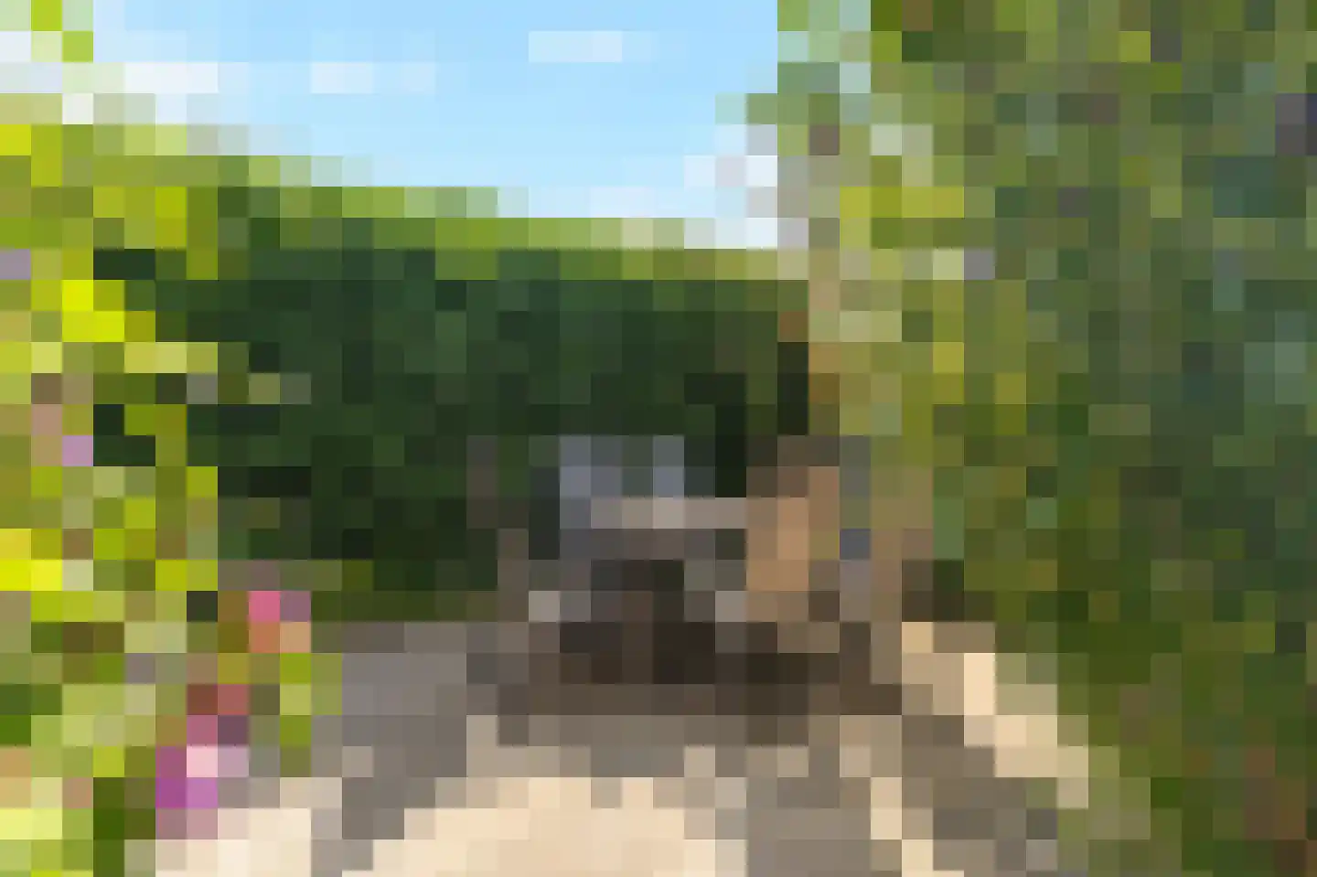 Noletstraat 4 Tuitjenhorn thumbnail 43