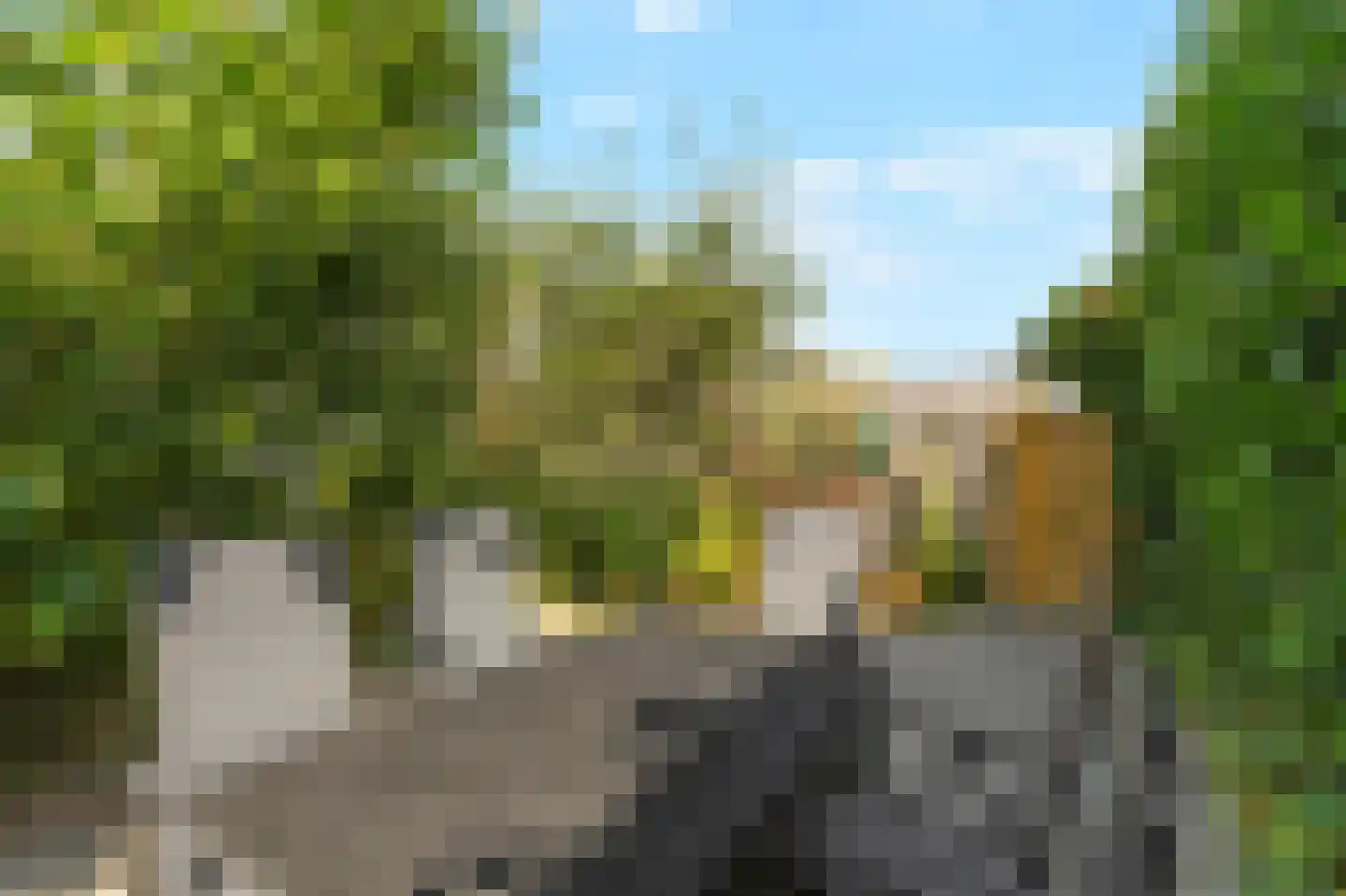 Noletstraat 4 Tuitjenhorn thumbnail 44