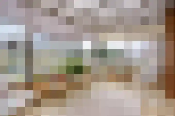 Nollaantje 27 Maasdijk thumbnail 10