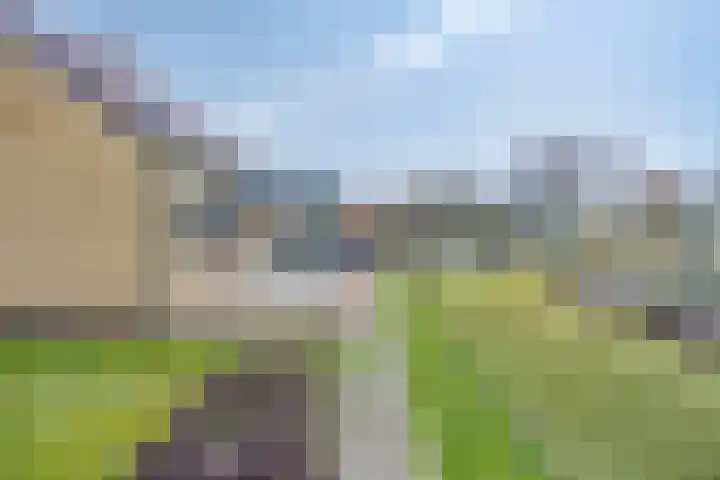 Nollaantje 27 Maasdijk thumbnail 14
