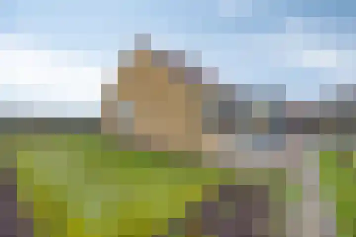 Nollaantje 27 Maasdijk thumbnail 15