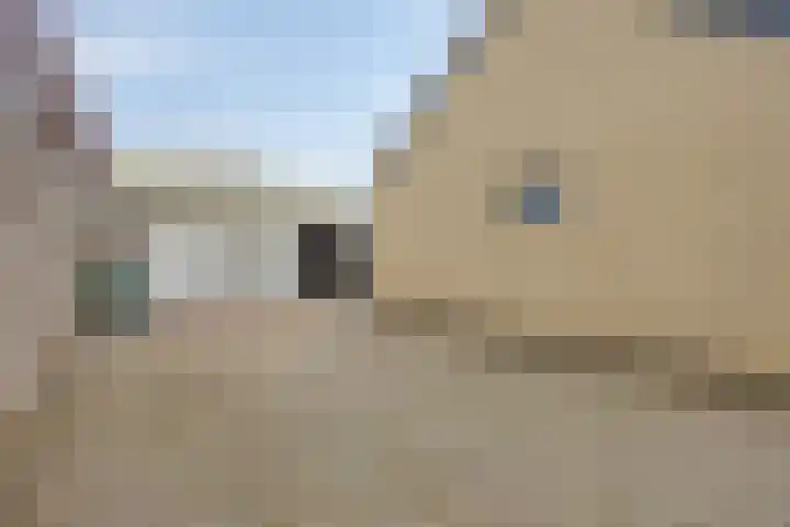 Nollaantje 27 Maasdijk thumbnail 16