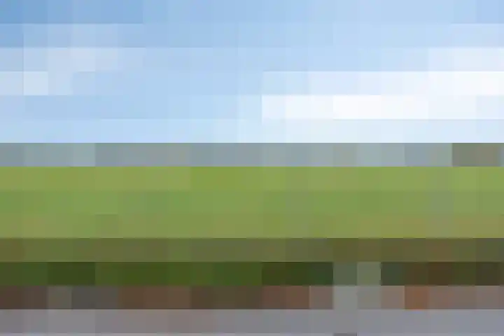 Nollaantje 27 Maasdijk thumbnail 19
