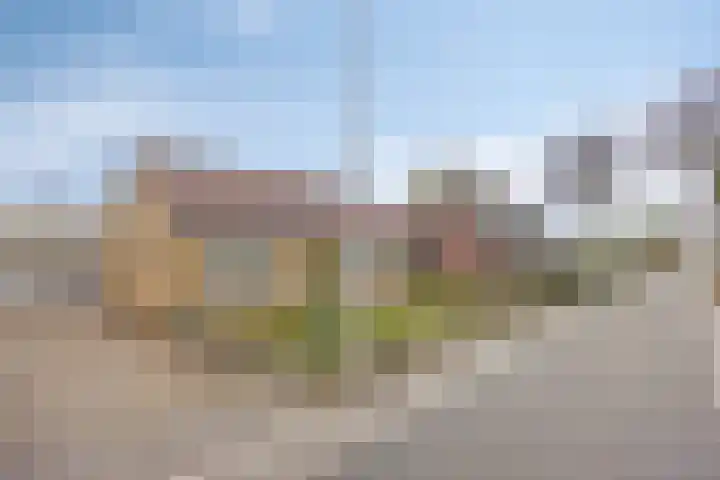 Nollaantje 27 Maasdijk foto 2
