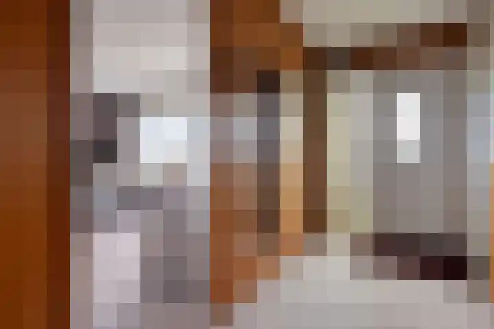 Nollaantje 27 Maasdijk foto 3