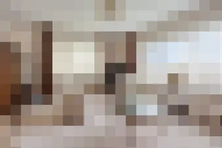 Nollaantje 27 Maasdijk thumbnail 4