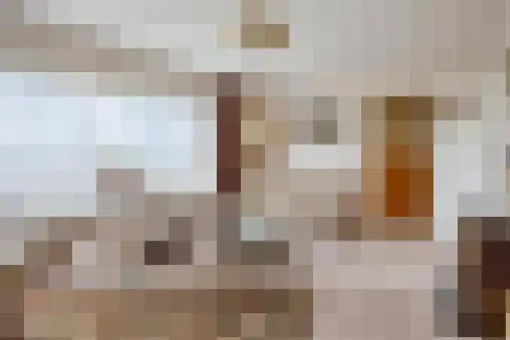 Nollaantje 27 Maasdijk thumbnail 5