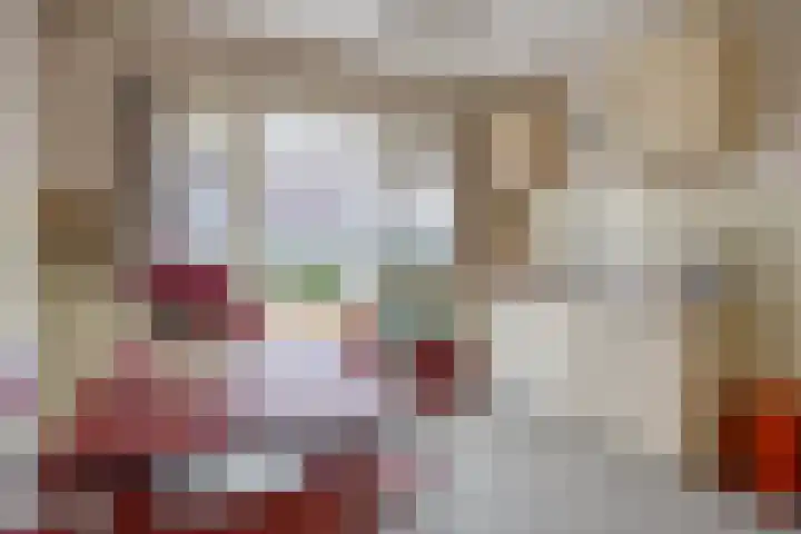 Nollaantje 27 Maasdijk thumbnail 6