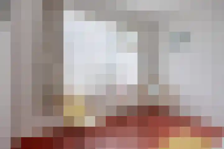 Nollaantje 27 Maasdijk thumbnail 8