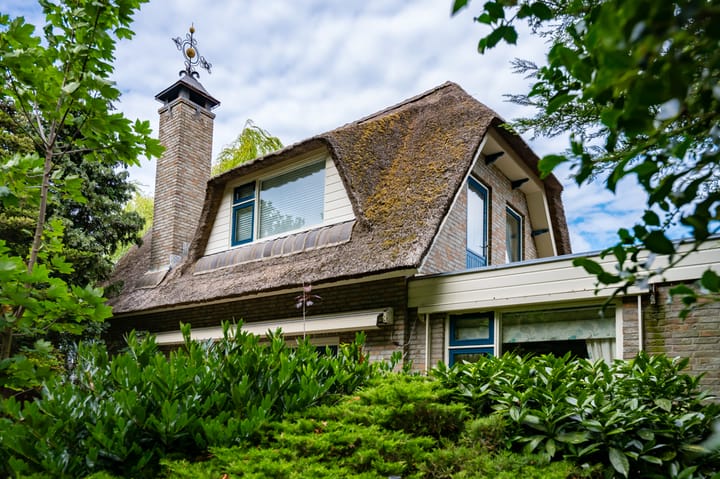 Nollaantje 55 in Maasdijk