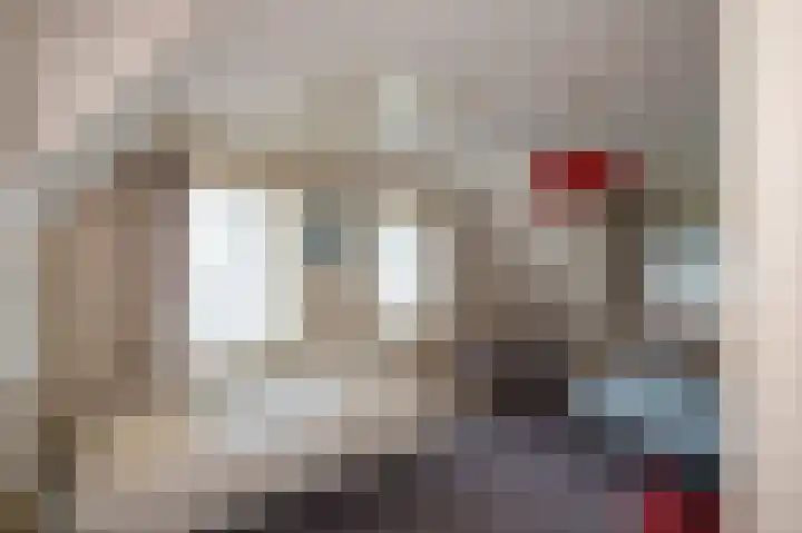 Nollaantje 55 Maasdijk thumbnail 11