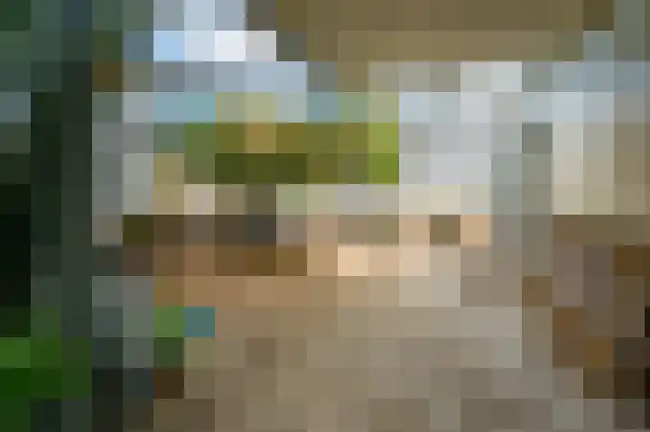 Nollaantje 55 Maasdijk thumbnail 12