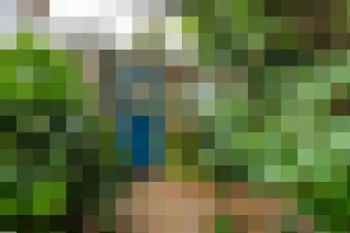 Nollaantje 55 Maasdijk thumbnail 4