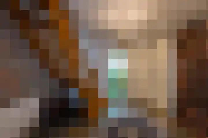 Nollaantje 55 Maasdijk thumbnail 7
