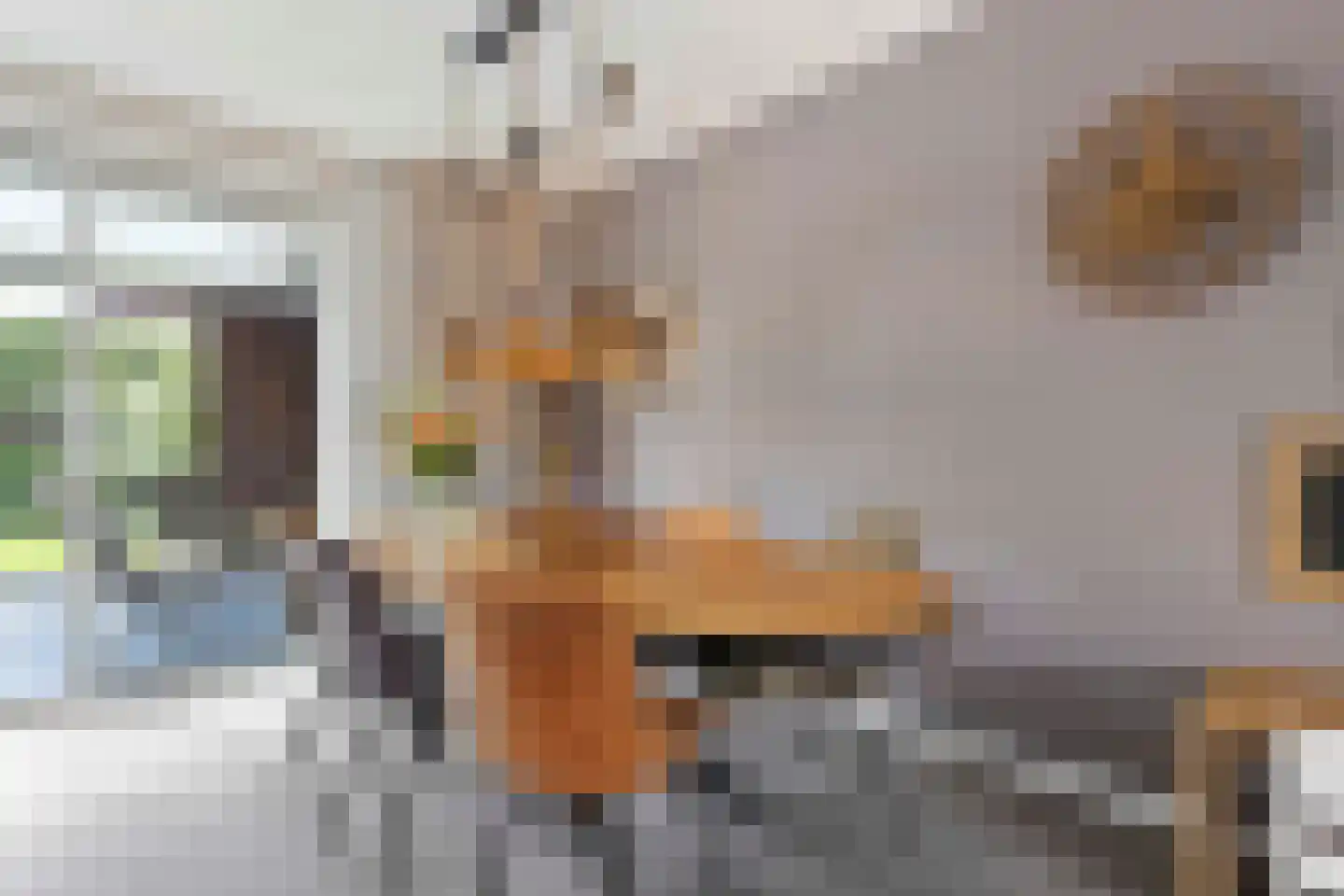 Nolle 4 Baarlo thumbnail 12