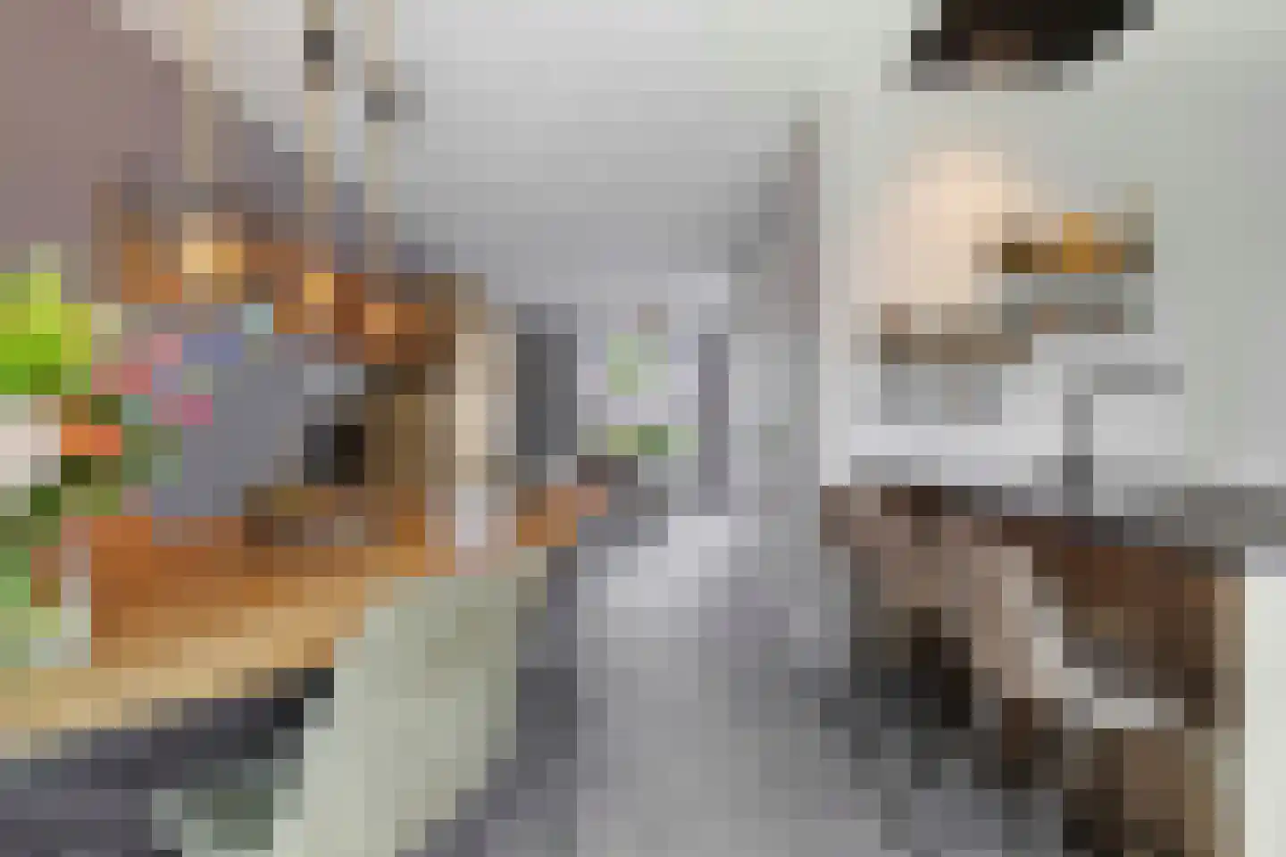 Nolle 4 Baarlo thumbnail 13
