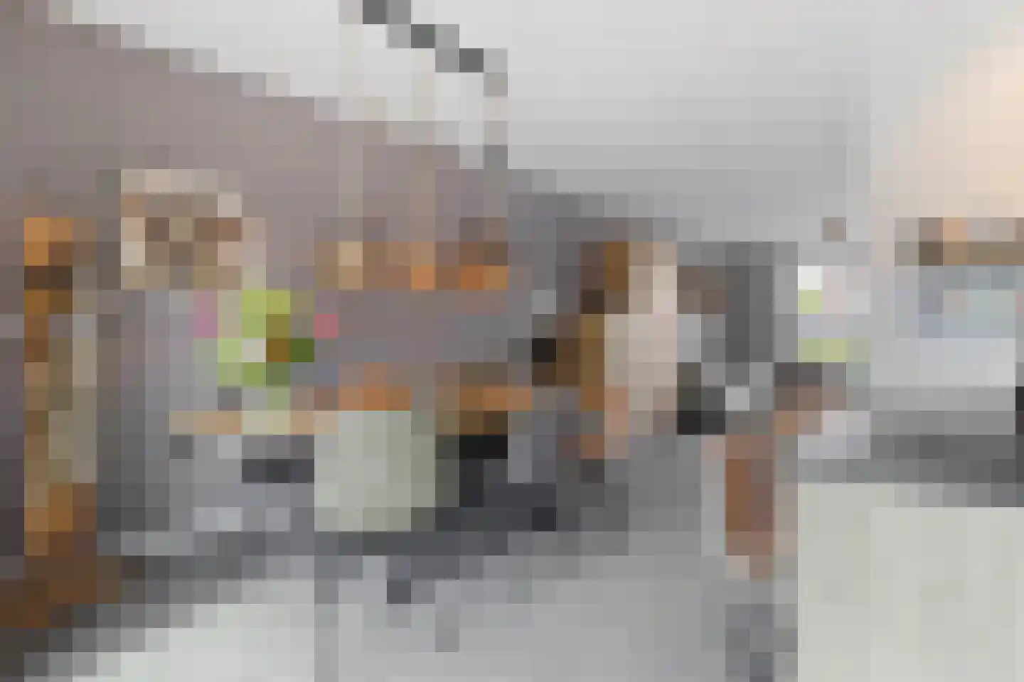 Nolle 4 Baarlo thumbnail 14